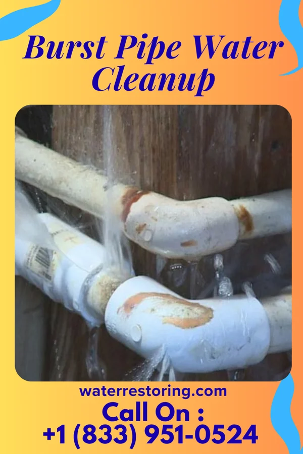 Burst Pipe Water Cleanup in Graceton, PA