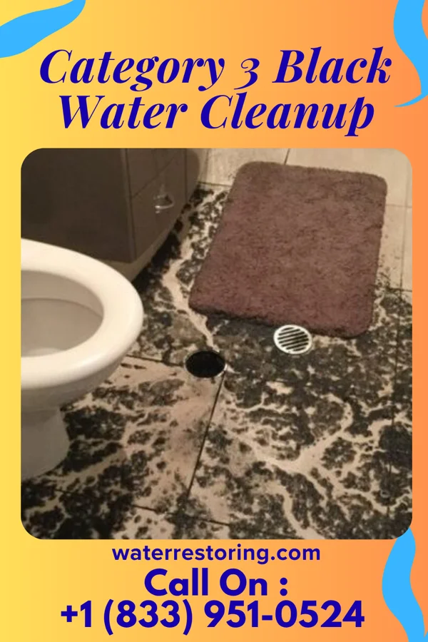 Category 3 Black Water Cleanup in Graceton, PA