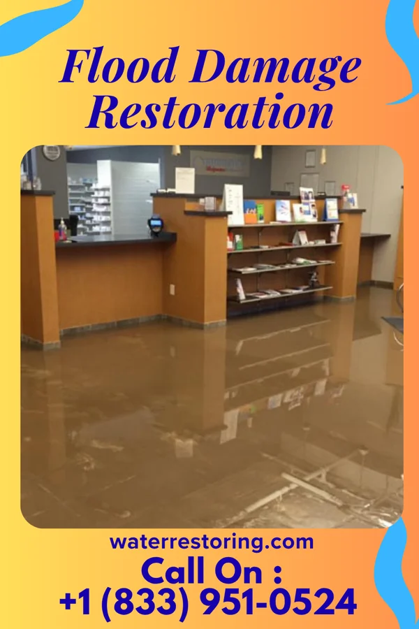 Flood Damage Restoration in Graceton, PA