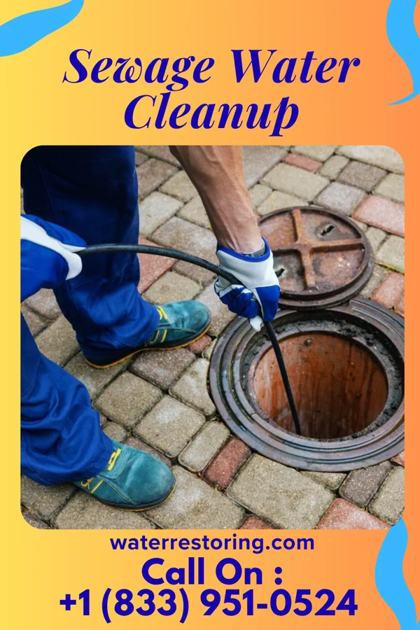 Sewage Water Cleanup in Graceton, PA