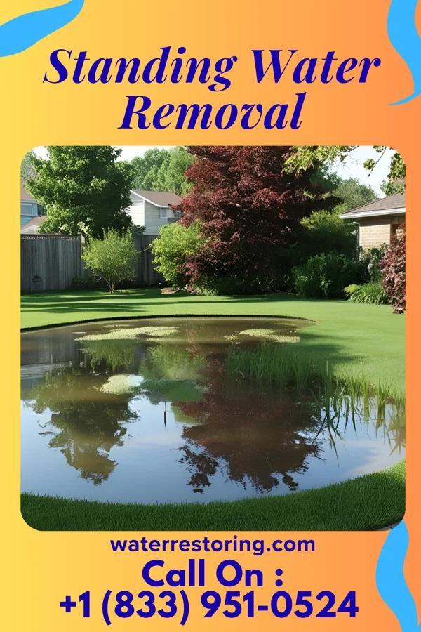 Standing Water Removal in Graceton, PA